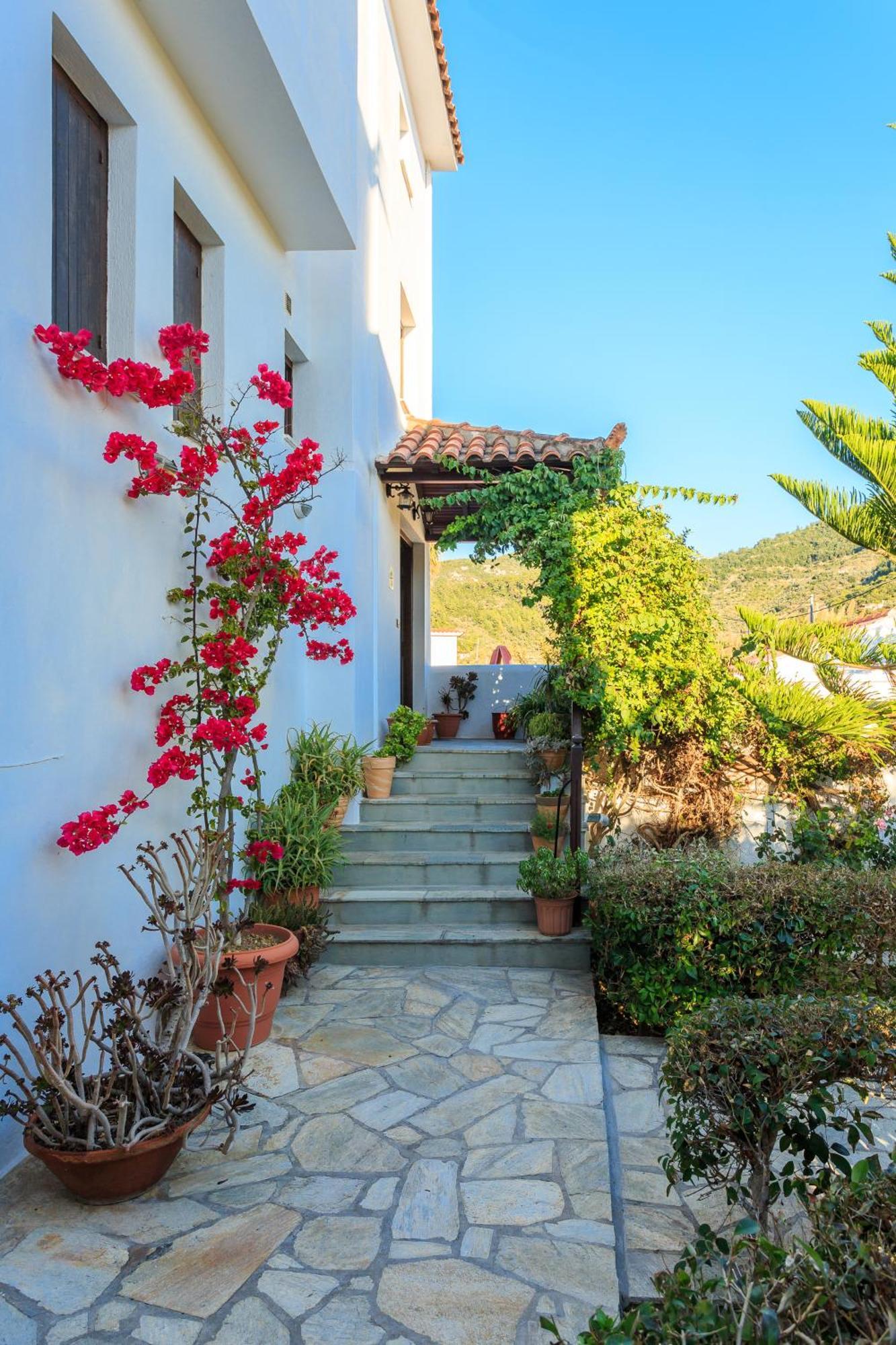 Nikolaos Studios Apartments Σκόπελος Εξωτερικό φωτογραφία